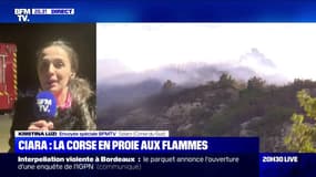 Incendies en Corse: les feux ont parcouru plus de 3400 hectares