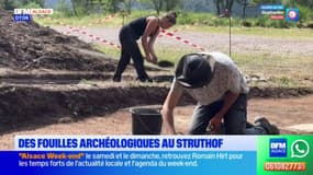 Camp du Struthof: le quatrième campagne de fouilles archéologiques s'achève le 6 septembre