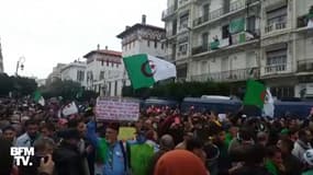 Les images de la marée humaine dans les rues d'Alger contre le nouveau président