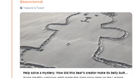 Une journaliste canadienne appelle les internautes à résoudre le mystère du nombril de l'ours dessiné dans la neige