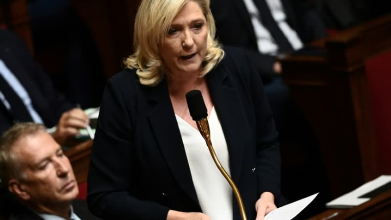 Marine Le Pen estime que le gouvernement utilise le 49.3 pour contourner la 