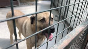 Le refuge de Digne-les-Bains affiche déjà complet.