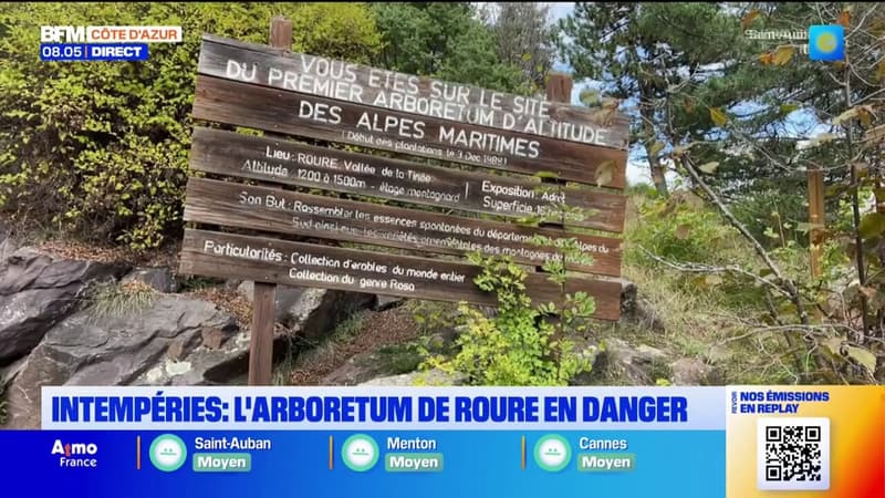 Intempéries dans les Alpes-Maritimes: l'arboretum de Roure menacé