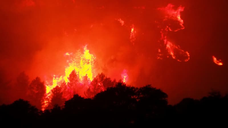 Un autre incendie dans l'Aude ce 15 août (illustration)