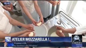 Atelier mozzarella