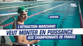 Natation : L’attraction Marchand veut monter en puissance aux championnats de France