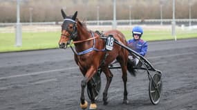 Go On Boy a terminé deuxième du Prix de France Speed Race en 2024