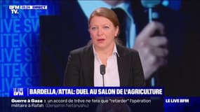 Salon de l'agriculture: l'eurodéputée Ilana Cicurel (Renaissance) dénonce "une stratégie du mensonge permanent" de la part du RN