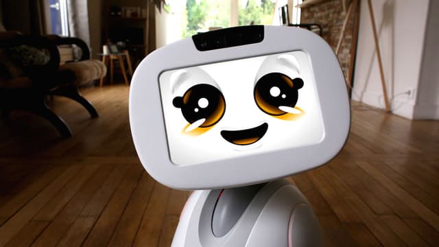 À partir de Noël prochain, Blue Frog Robotics veut commercialiser Buddy, un robot de compagnie conçu et réalisé en France.