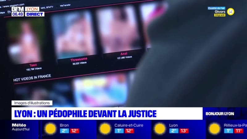 Lyon: un pédophile jugé dans plusieurs affaires