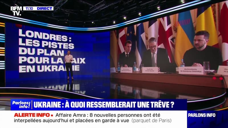 LES ÉCLAIREURS - Que contient le plan de trêve en Ukraine annoncé par Emmanuel Macron?