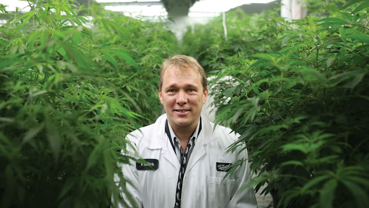 Bruce Linton, le fondateur de Canopy Growth Bruce Linton, le fondateur de Canopy Growth