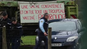 Un troupeau de 83 vaches a été abattu dans le Doubs aprés la découverte d'un cas de dermatose nodulaire 