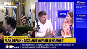 Plan de paix à Gaza: quel rôle jouent les pays arabes ?