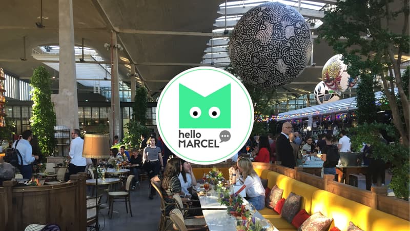 Une quinzaine de restaurants dont la Felicita dans le 13e arrondissement ont reçu le label "kids friendly"