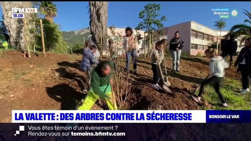 La Valette-du-Var: des écoliers plantent des arbres pour lutter contre la sécheresse
