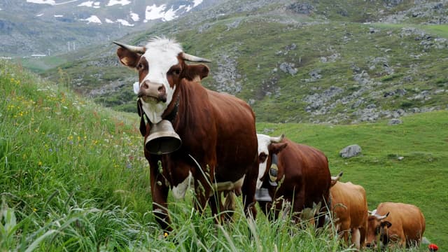 Mieux vaut gagner son salaire en Suisse ou en Autriche qu'en Bulgarie (photo d'illustration)