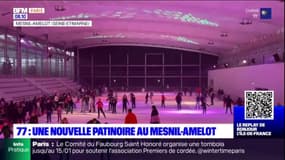 Seine-et-Marne: une nouvelle patinoire au Mesnil-Amelot