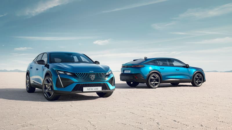 Avec 34,8% du marché, le groupe Stellantis confirme sa position de leader sur le marché français.