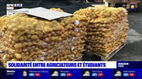 Lille: les agriculteurs distribuent gratuitement des denrées alimentaires aux étudiants