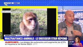 Pierre Cadéac accusé de maltraitance animale: le dresseur se défend de s'en être pris à un singe