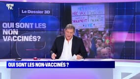 Qui sont les non-vaccinés ? - 06/01