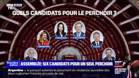 Yaël Braun-Pivet, André Chassaigne, Sébastien Chenu... Ces six candidats au perchoir de l'Assemblée