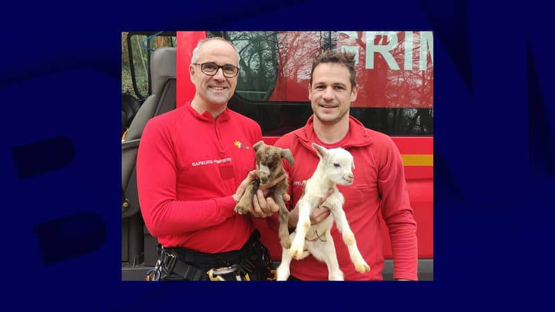 Gard: deux chevreaux coincés en dessous d'une falaise sauvés par des pompiers