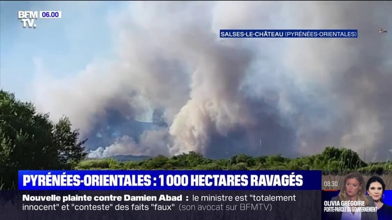 Incendie dans les Pyrénées-Orientales: près de 1000 hectares sont déjà partis en fumée