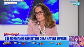 Planète locale du mercredi 27 novembre - Ces Normands remettent de la nature en ville