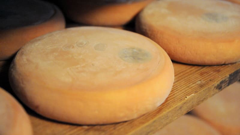 Les reblochons AOP Leclerc sont fabriqués par la Fromagerie Chabert (image d'illustration) -