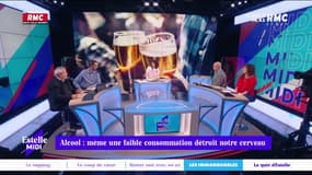 Alcool : même une faible consommation détruit notre cerveau - Le coup de gueule de Périco Légasse