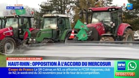 Haut-Rhin: les agriculteurs mobilisés contre le traité UE-Mercosur