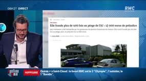 Une femme interpellée sur l'autoroute A7 après avoir fraudé le péage à plus de 400 reprises