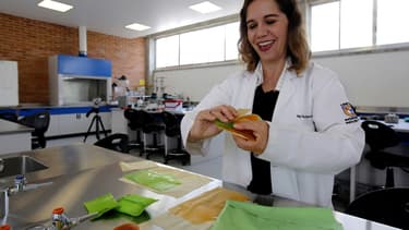 Le jus de nopal est mélangé avec des additifs non toxiques puis étalé pour obtenir des feuilles, qui sont colorées et pliées en fonction des besoins d'emballage.