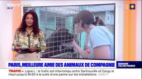 Paris, meilleure amie des animaux de compagnie