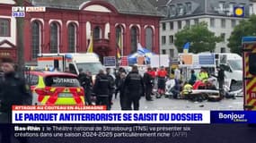 Strasbourg: des camions-poubelles passent à l'électrique