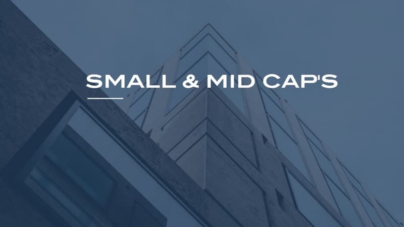 Small & Mid Caps