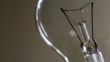 Le tarif d'accès aux réseaux publics d'électricité haute tension, qui représente environ 12% de la facture d'électricité hors taxes des particuliers, augmentera de 2,4% le 1er août. Ce tarif, fixé pour 4 ans, sera ensuite indexé sur l'inflation. /Photo rp