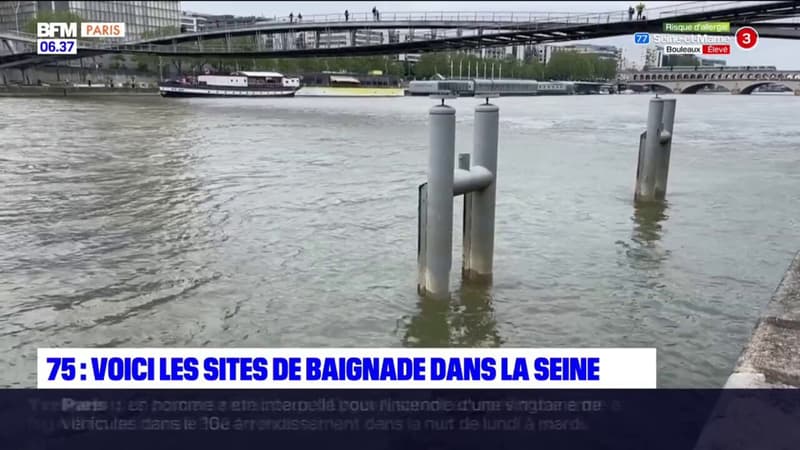 Baignade dans la Seine: les trois sites de la capitale dévoilés 
