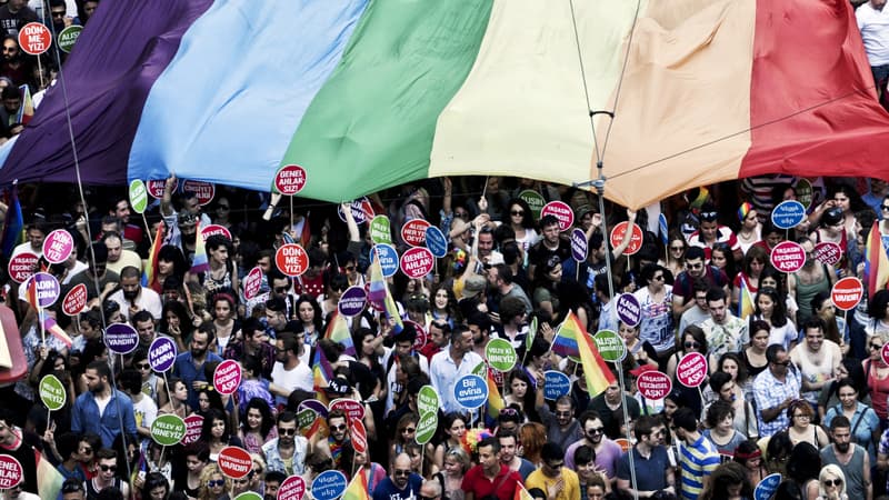 La gay pride de 2014, à Istanbul.