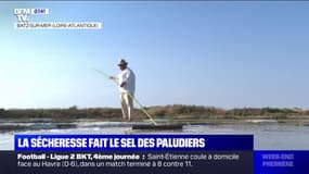 La sécheresse fait le sel des paludiers