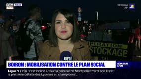 Laboratoire Boiron: mobilisation des salariés contre le plan social