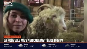 "Je suis heureuse de pouvoir présentée ma filière très atypique": Crystèle Gourjade est la nouvelle miss agricole pour l'année 2026