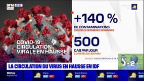 500 nouveaux cas recensés tous les jours: en Ile-de-France, le Covid-19 circule toujours activement