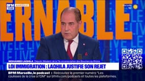 Bouches-du-Rhône: Mohamed Laqhila favorable au "retrait" de la loi immigration