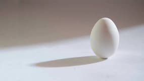 Une équipe de scientifiques de l'université Irvine en Californie a réussi à réussi à "décuire" un œuf.