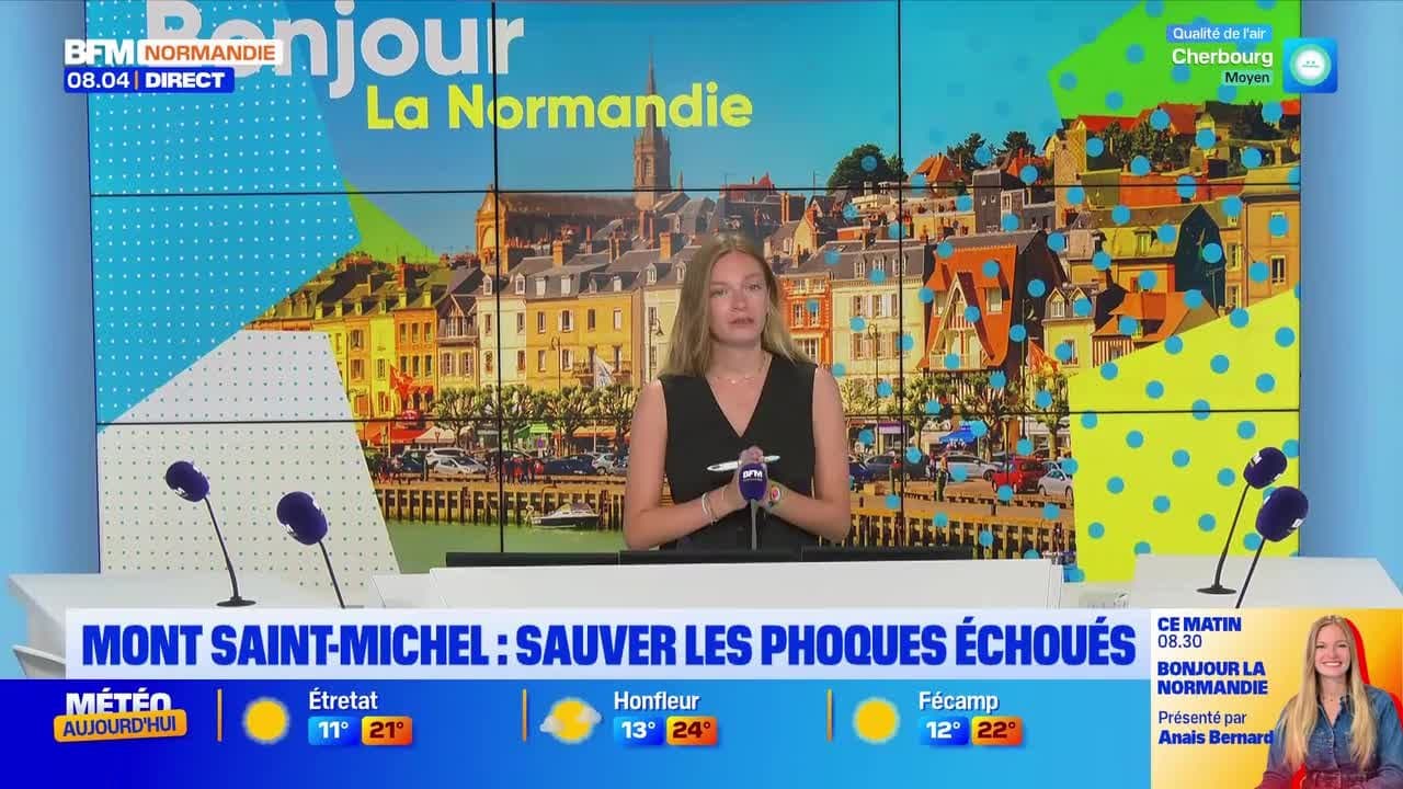 L'actu du 22 juillet 2026