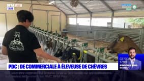 Pas-de-Calais: Sandrine, de commerciale à éleveuse de chèvres
