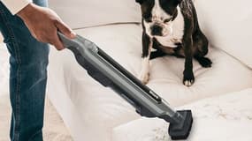 Cet aspirateur Shark est une vraie alternative au Dyson, son prix est vraiment bas